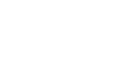 First Internet logo